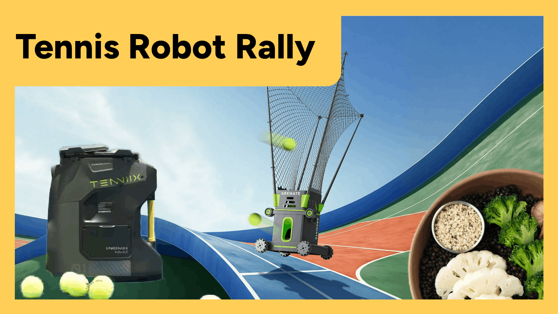 Tennis Robot Rally